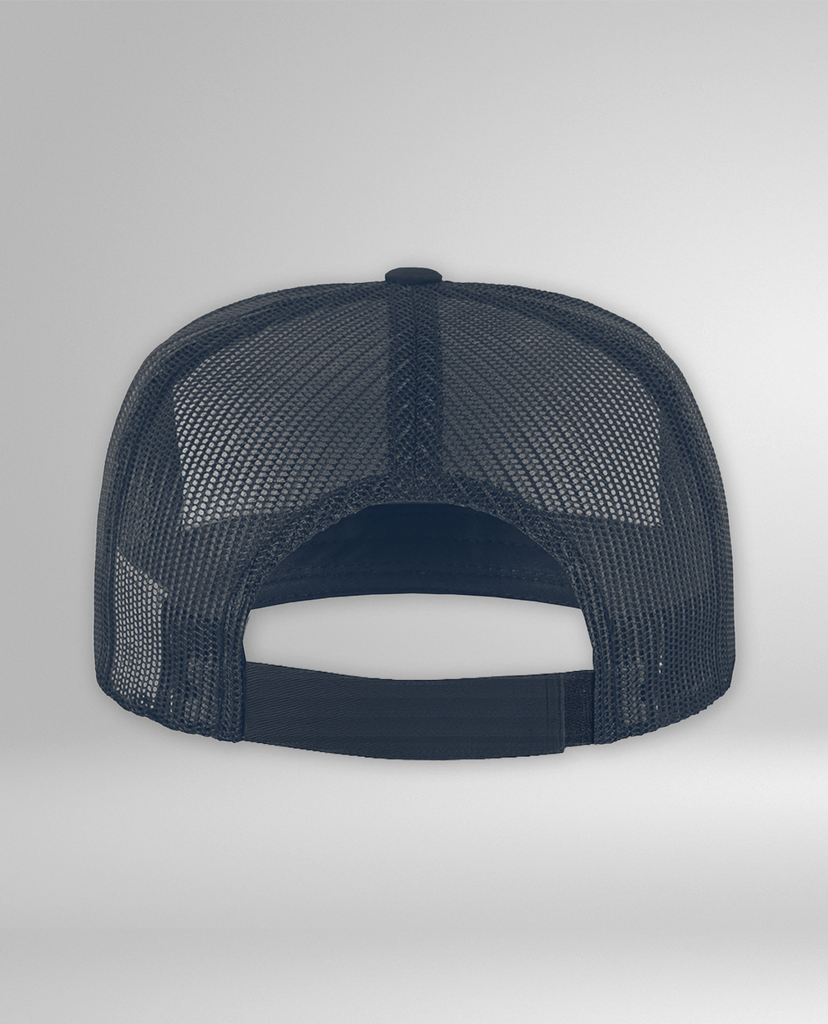 CAP LIFE BEGINS STEINGRAU